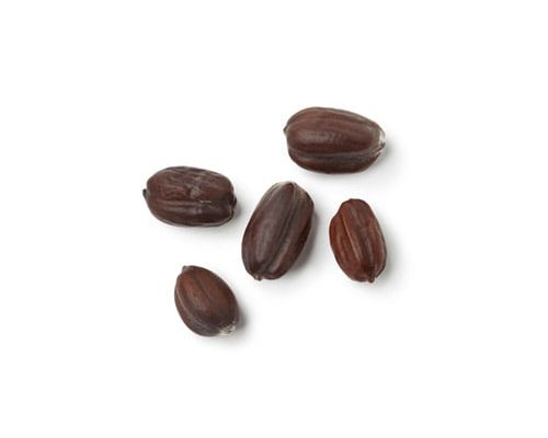 Jojoba-Oil Jojoba Oil