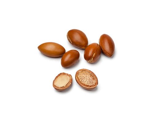 argan argan