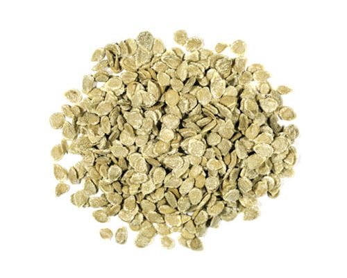 semilla-tomate semilla-tomate